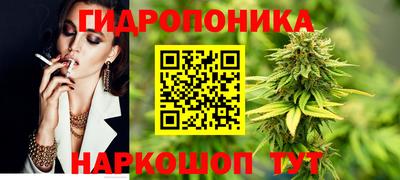 ГАЛЛЮЦИНОГЕННЫЕ ГРИБЫ Свободный