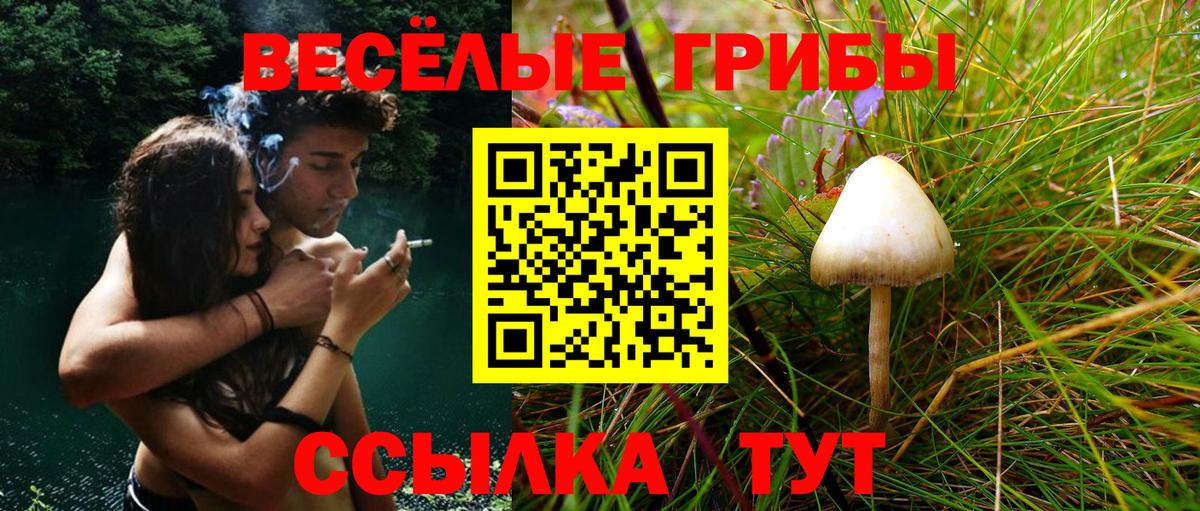 Первоуральск  Псилоцибиновые грибы мицелий  Галлюциногенные грибы GOLDEN TEACHER  Вход с VPN 